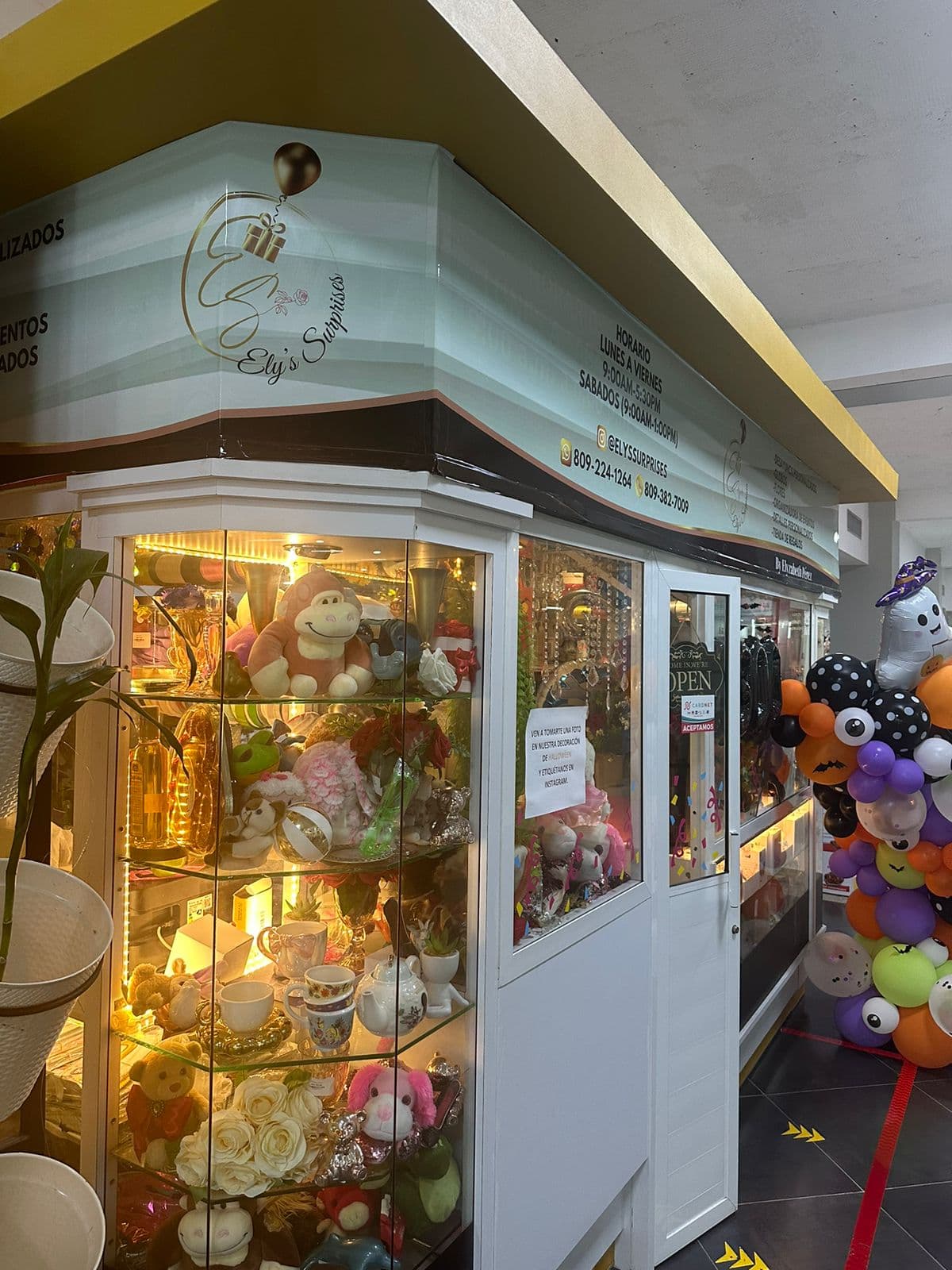 ELY`S SURPRISES BY ELYZABETH PEREZ, EIRL