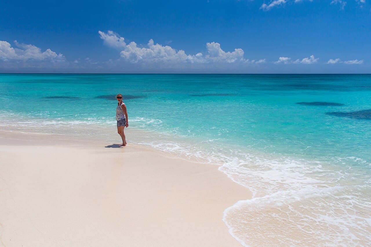 Isla Saona en catamarán, día completo